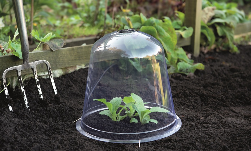 Image 1: One, Three or Five Garden Bell Cloches