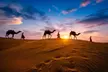 Desert Safari Adventure for 1,2, or 4 with VIP Treatment and ATV Ride by Pearl Desert Safari (Up to 57% Off) - Image 5