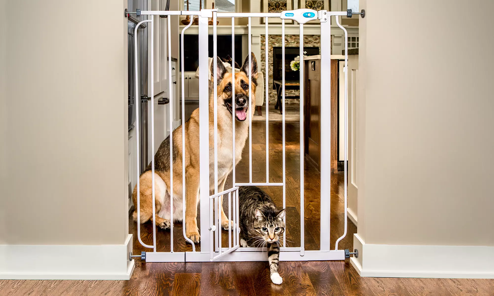 Carlson Pet Gate with Small Pet Door - Primary Image