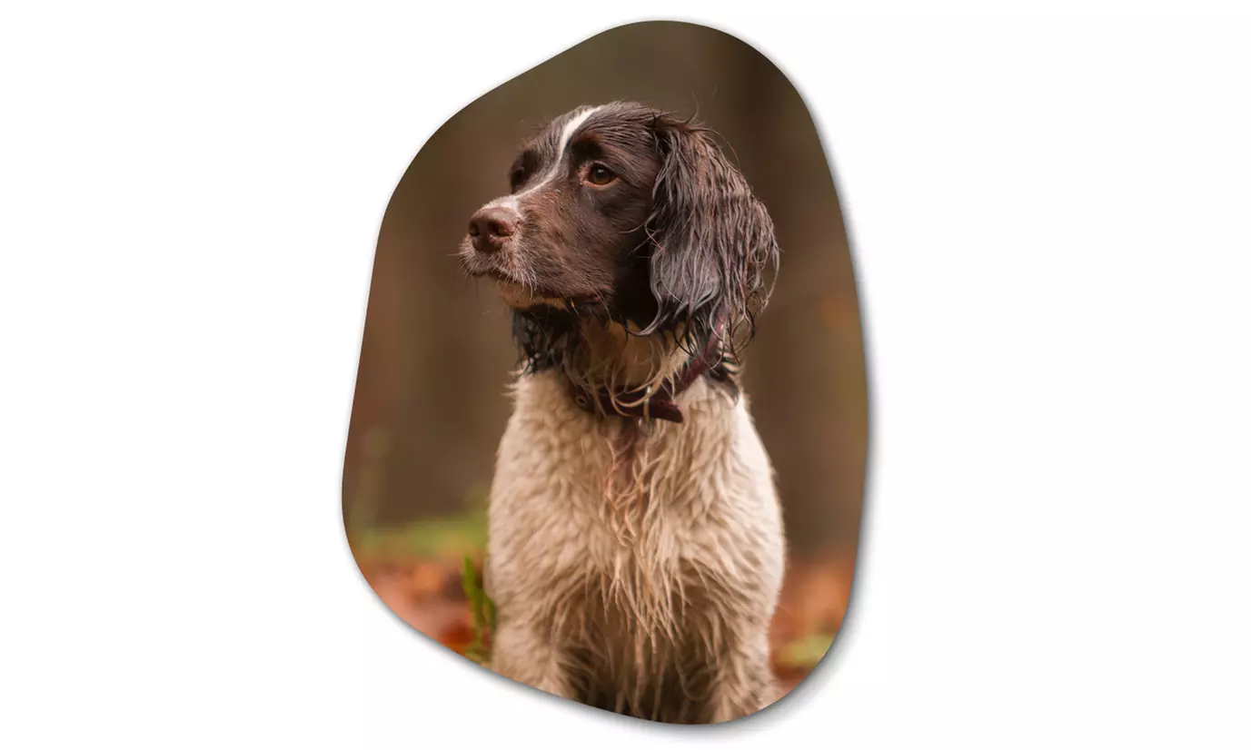 Foto op organische vorm