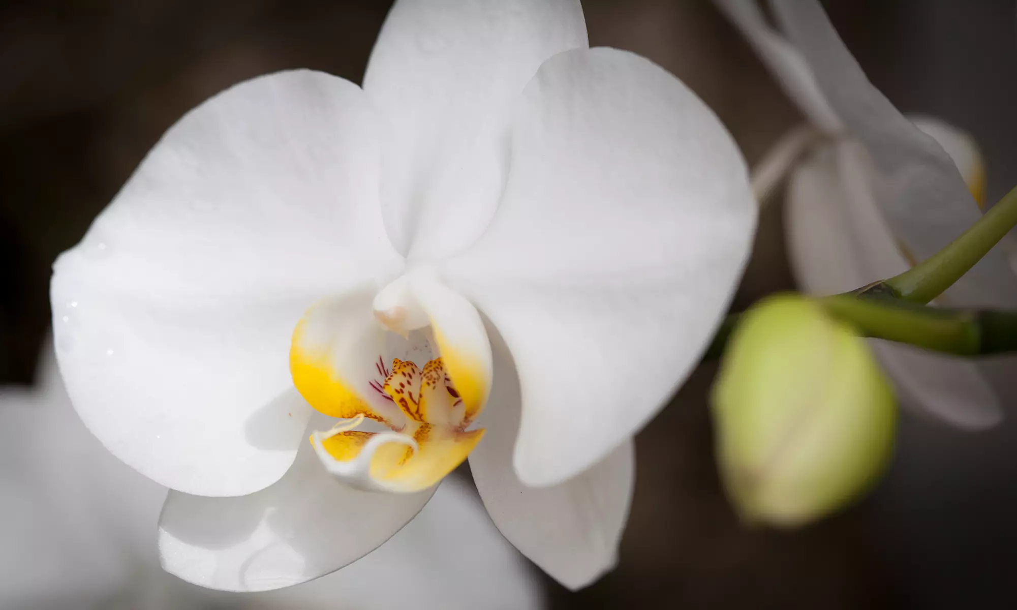 Digital-Photography Class and Field Trip from YourPhotoSafari.com (55% Off) - Primary Image