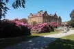 Up to 41% Off on Afternoon Tea at Willington Hall Hotel - Non-Accommodation - Second Medium