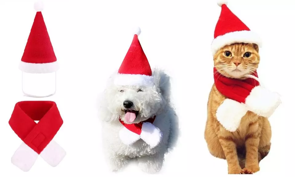 1 ou 2 sets de Chapeau et écharpe de noël pour chat et chien - Primary Image