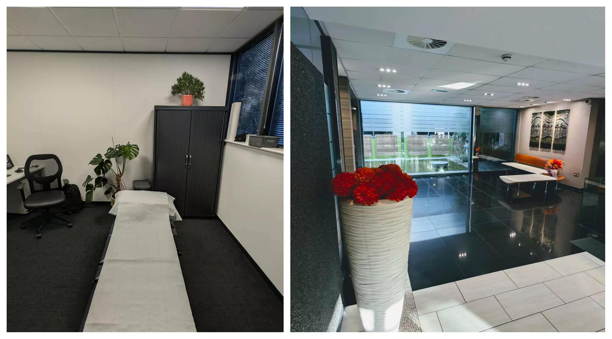 Osteopathy Session with Consultation and Optional Follow-Up Session