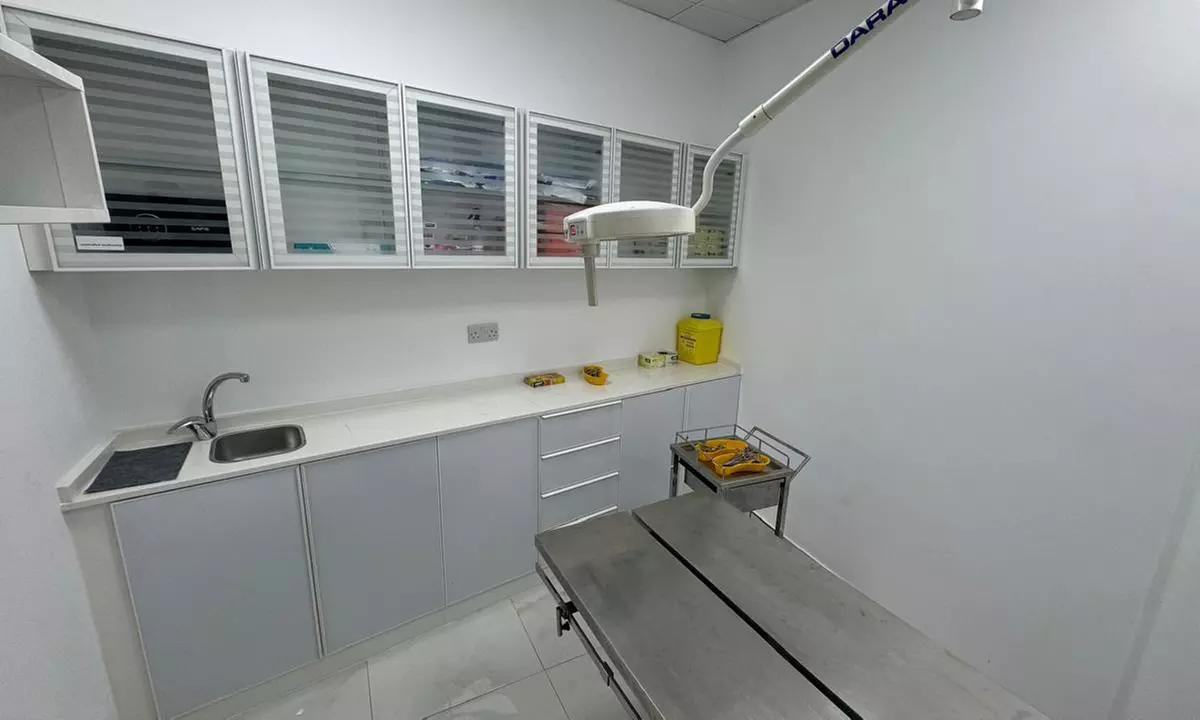 Boost Pet Wellness: Dental Scaling and Sedation for Cats and Dogs