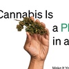 Image 5: Fast and easy Ohio Medical Marijuana Card approval in no time
