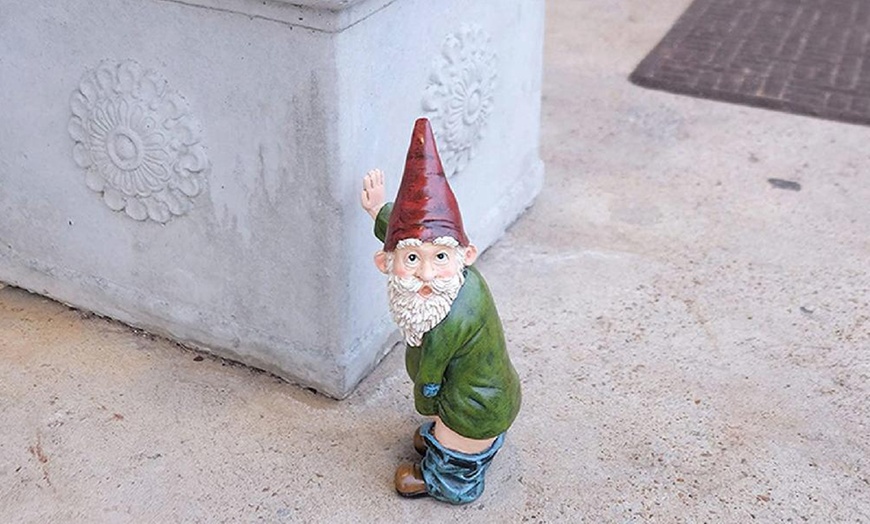 Image 7: Funny Gnome