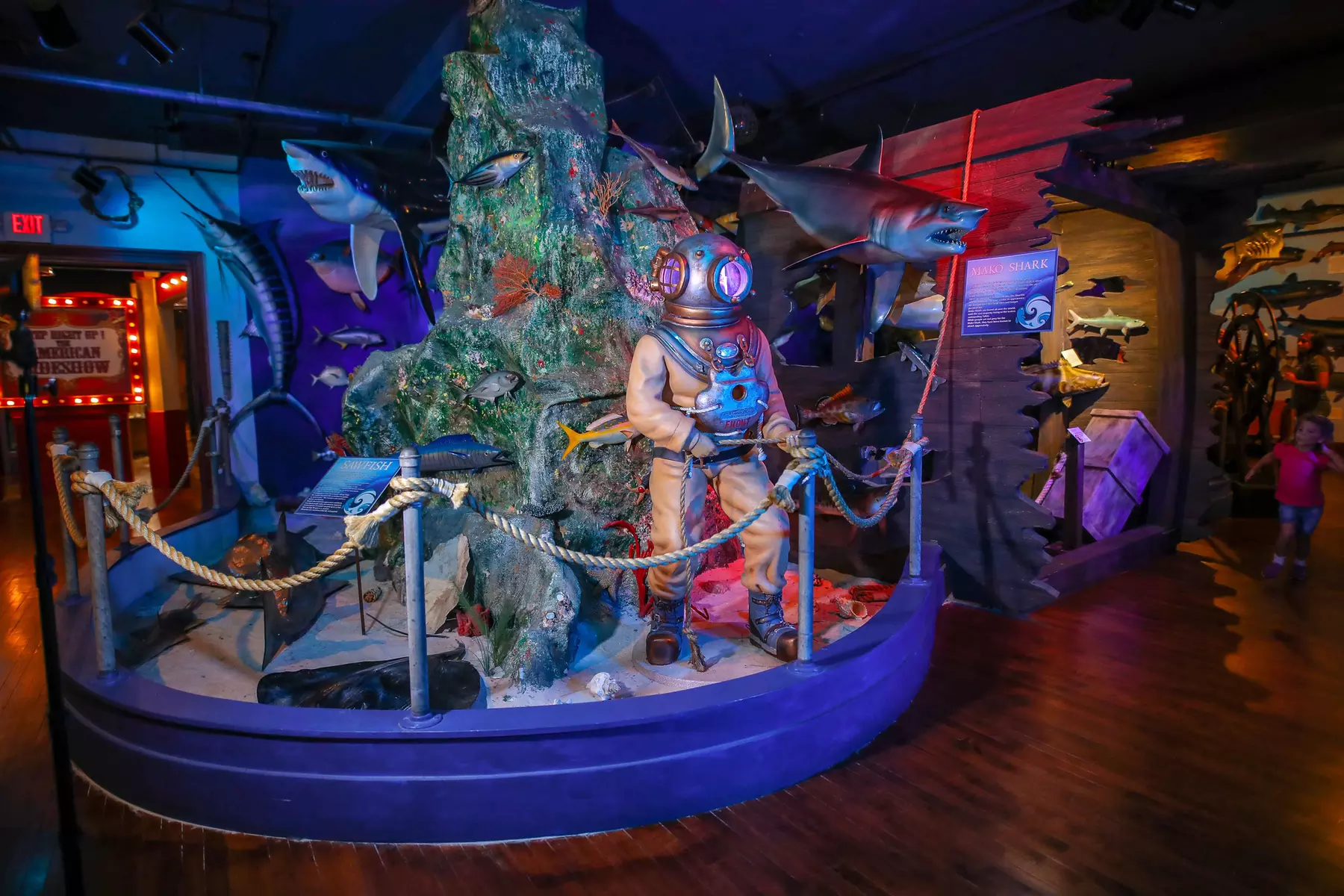 Buckhorn Museum & Texas Ranger Museum Admission in San Antonio