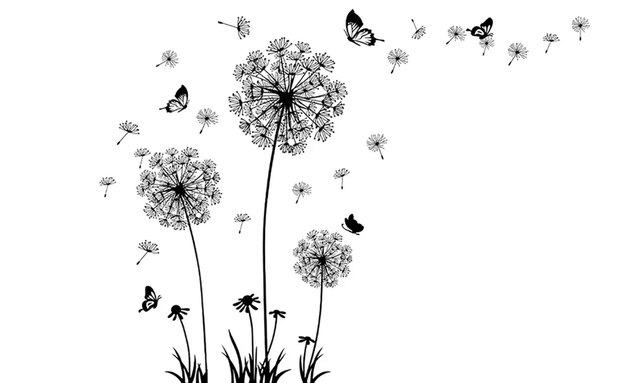 Wandaufkleber mit Pusteblumen-Motiv