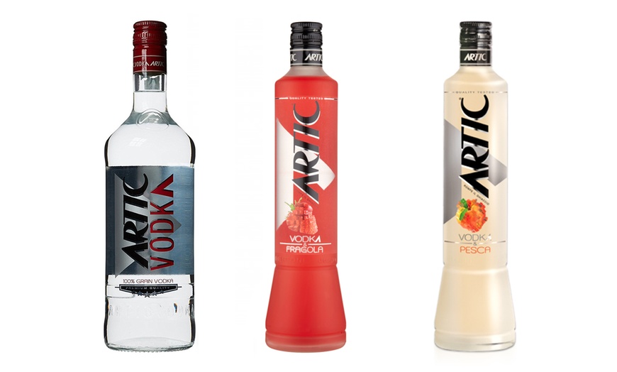 Image 6: Vodka Artic 1 L