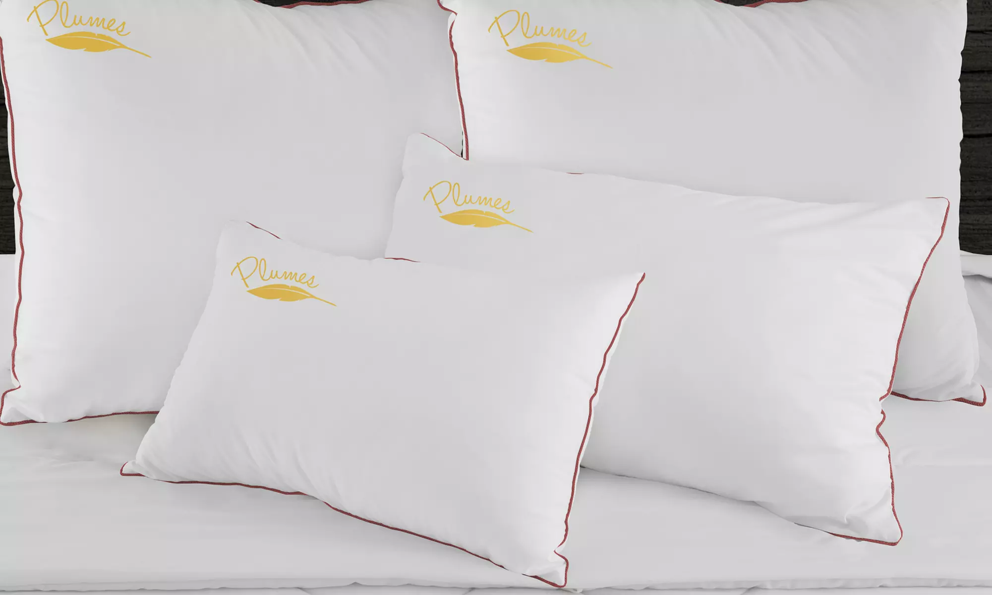 1, 2 o 4 almohadas de plumas - Primary Image