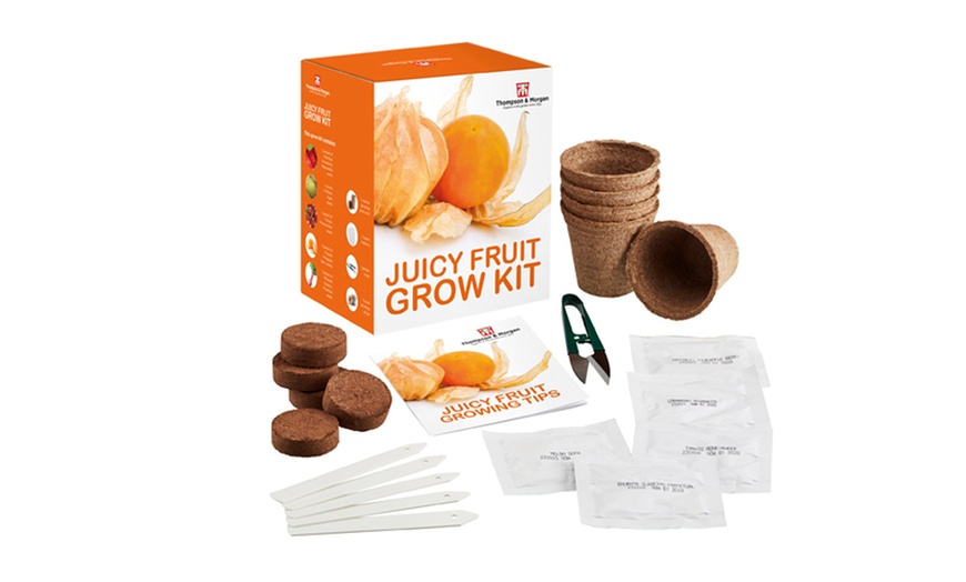 Image 13: Mixed Seed Grow Kits