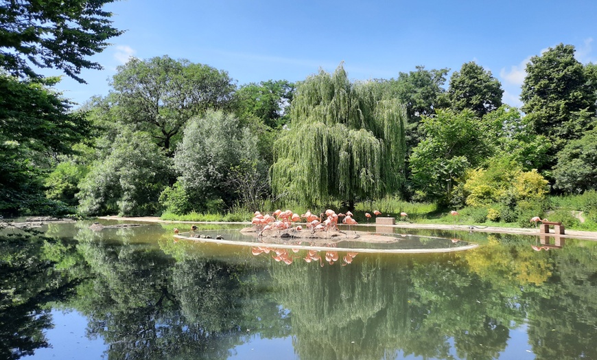 Image 6: Tageskarte für den Zoo Krefeld