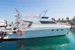 Luxury Yacht or Fishing Tarrad Rental at Luxury Yachts - Image 4