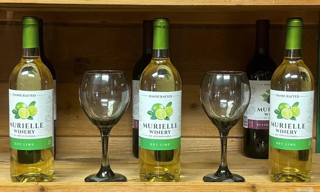 Up to $80 To Spend on wine, wine slushies and gourmet snacks at Cocoa Beach Winery (Up to 31% Off) - Second Medium