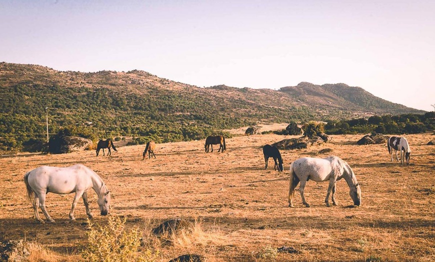 Image 6: Visita a bodega con cata de 3 vinos y aperitivos para hasta 6 personas