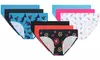 AQS Women's Seamless Bikini - 3 Pack