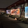 Image 4: 27% Off Lights On: A Nighttime Art Experience at Brevard Zoo