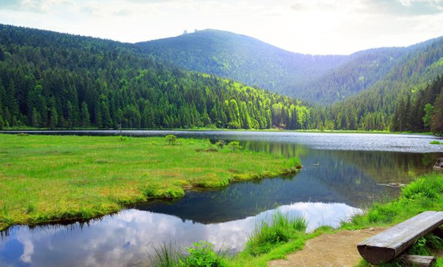 Image 1: Bayerischer Wald: 2-5 Nächte mit All Inclusive und Sauna