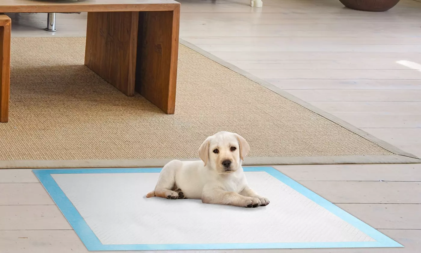 Dog Training Pee Pads (50-, 100- or 150-Count) - Primary Image