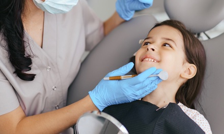 Dental Consultation with a Fluoride Application for a Child or an Adult