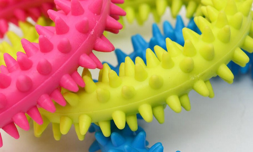 Image 8: Rubber Chew Toy