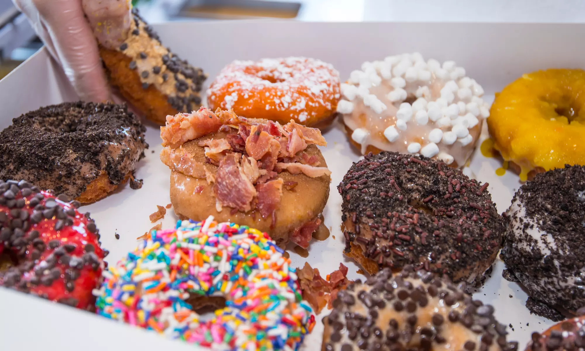 Doughnuts at Fractured Prune Doughnuts (Up to 40% Off). Two Options Available. - Primary Image