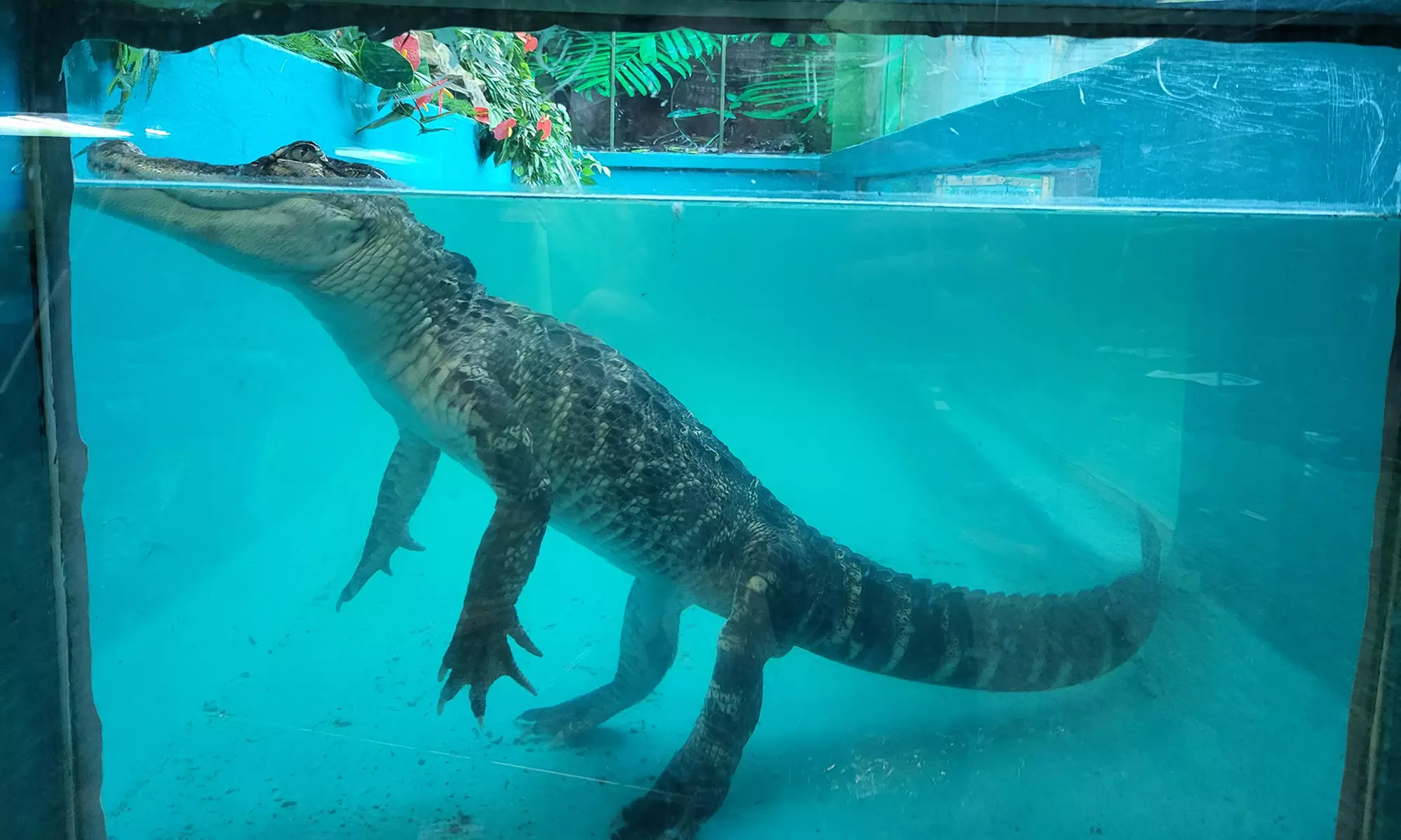 Up to 14% Off on Zoo / Animal Park at Get To Know Animals