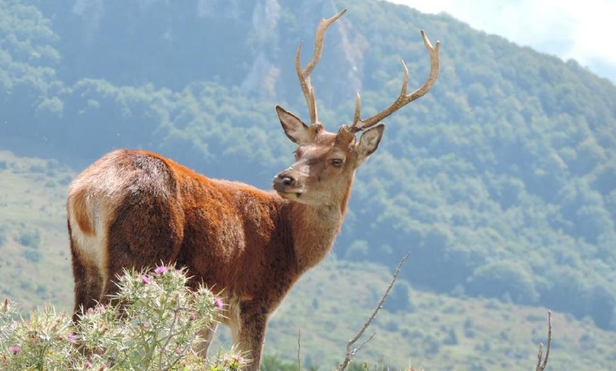 Image 8: Roccaraso: fino a 7 notti con mezza pensione ed escursione