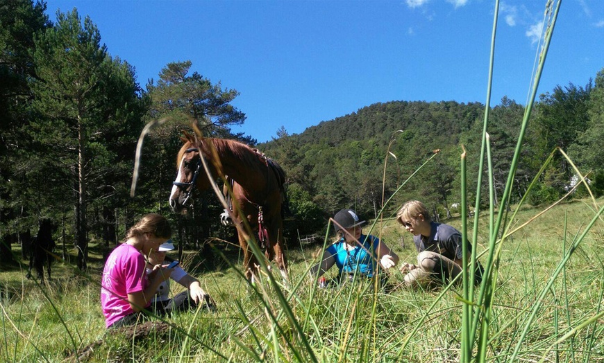 Image 3: Ruta a caballo para 1 o 2 personas en Hípica Vilaformiu