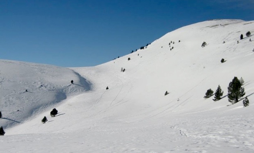 Image 6: Excursión de 4 horas con raquetas de nieve para 2 o 4 personas