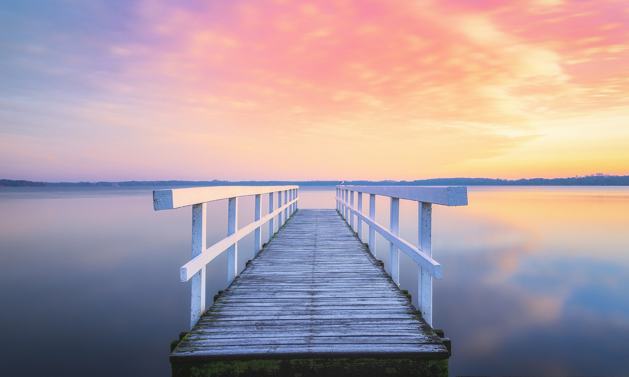 Life-Coaching online