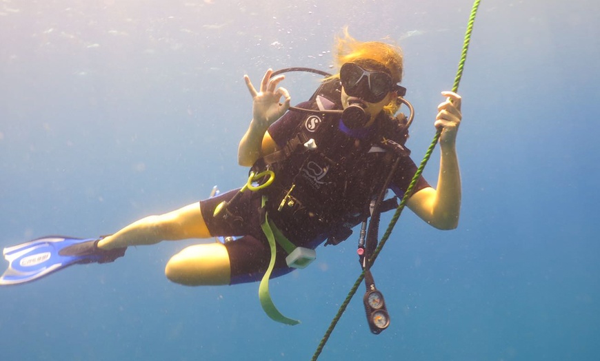 Image 2: Scuba Diving Experience