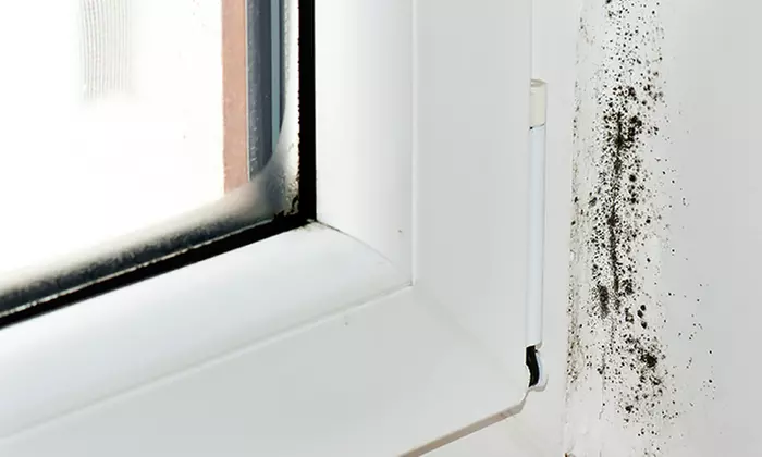 Up to 20% Off on Home Mold Testing / Removal at Carlstrom Construction Company - Second Medium