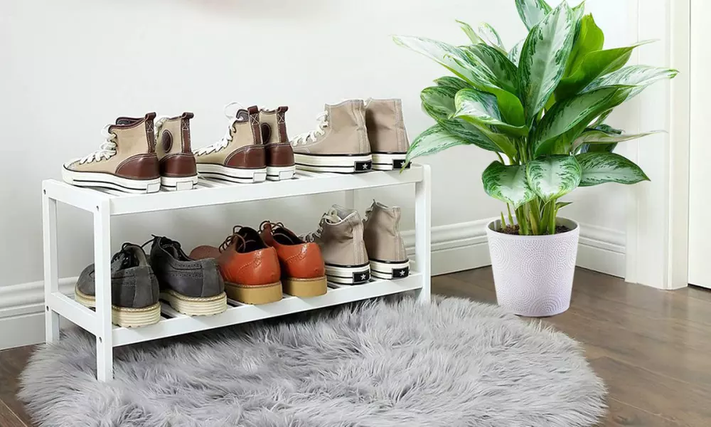 Double étagère porte-chaussures - Primary Image