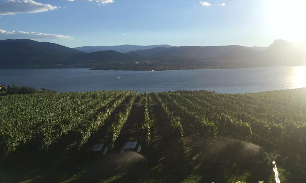 Naramata Express Shuttle Flexible Package for One, Two, or Four at Coconut Express (Up to 55% Off) - Second Medium