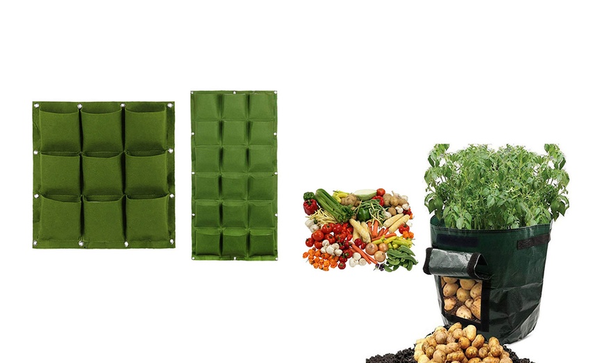 Image 1: Lot de 10 graines de légumes avec pochette ou sac de jardinage 