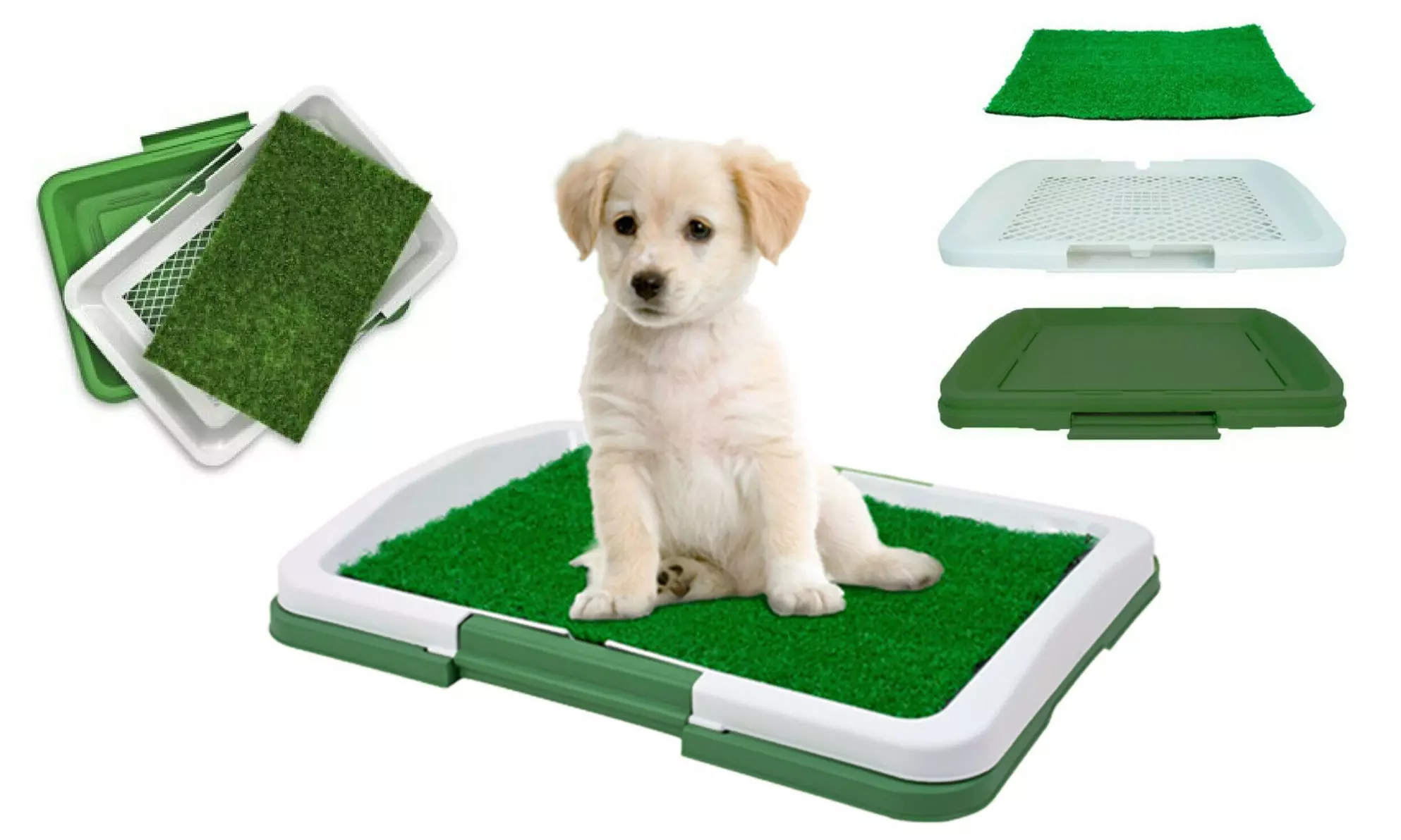 Toilette avec tapis d'intérieur pour chien, entrainement à l'hygiène - Primary Image