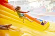 Inflatable Park Jump Passes at Pick of the Patch Pumpkins at ABC Tree Farms. 5 Locations (Up to 37% Off) - Second Medium