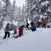 Image 2: Guided Snowshoeing in Mt St Helens or Mt. Hood for 4 Hours