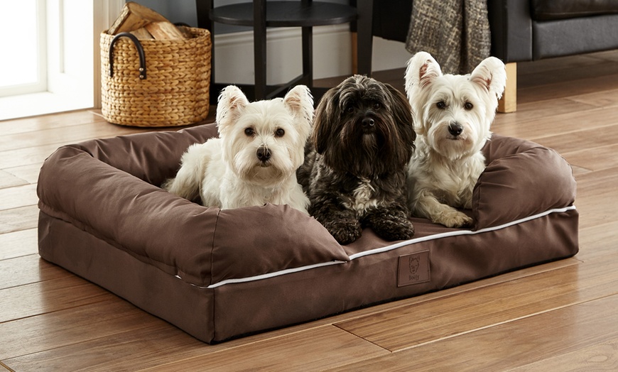 Bunty dog bed on sale groupon