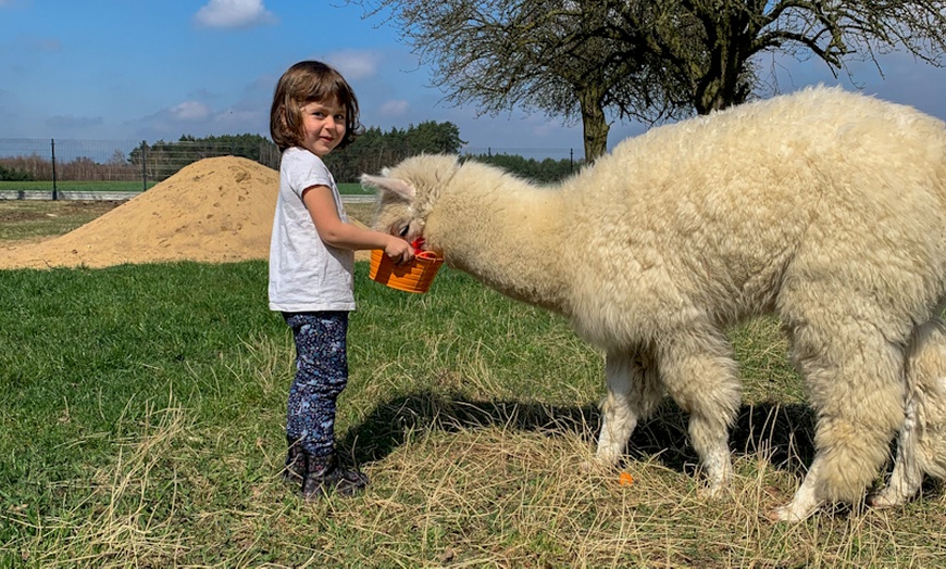 Image 10: Do 15% zniżki na Zoo/Park safari w Alpakowa Polana