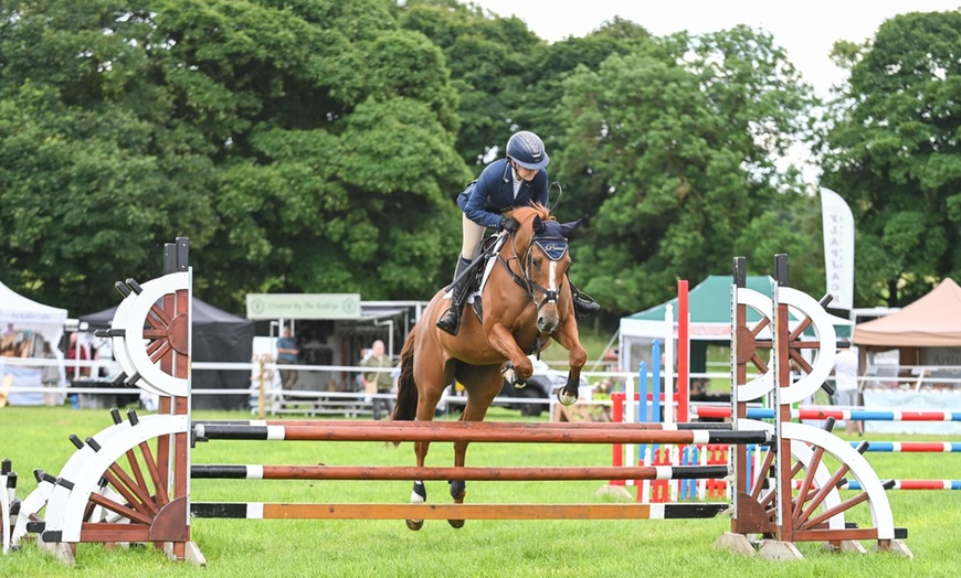 Image 3: Durham County Show 2025 at Thornley Hall Farm | July 5 and 6, 2025