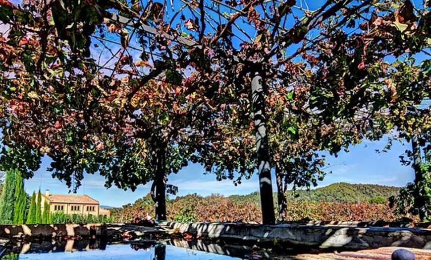 Image 1: Cata de vinos y paseo por el viñedo de Can Roda Bodega