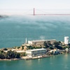 Image 1:  Explore and Enjoy Alcatraz + Muir Woods & Sausalito Tour for Up to 4