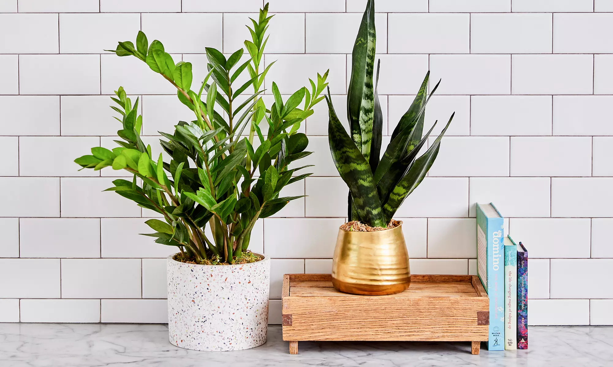 Farm-Fresh Flowers + Free Shipping from The Bouqs Co. (Up to 44% Off) - Second Medium