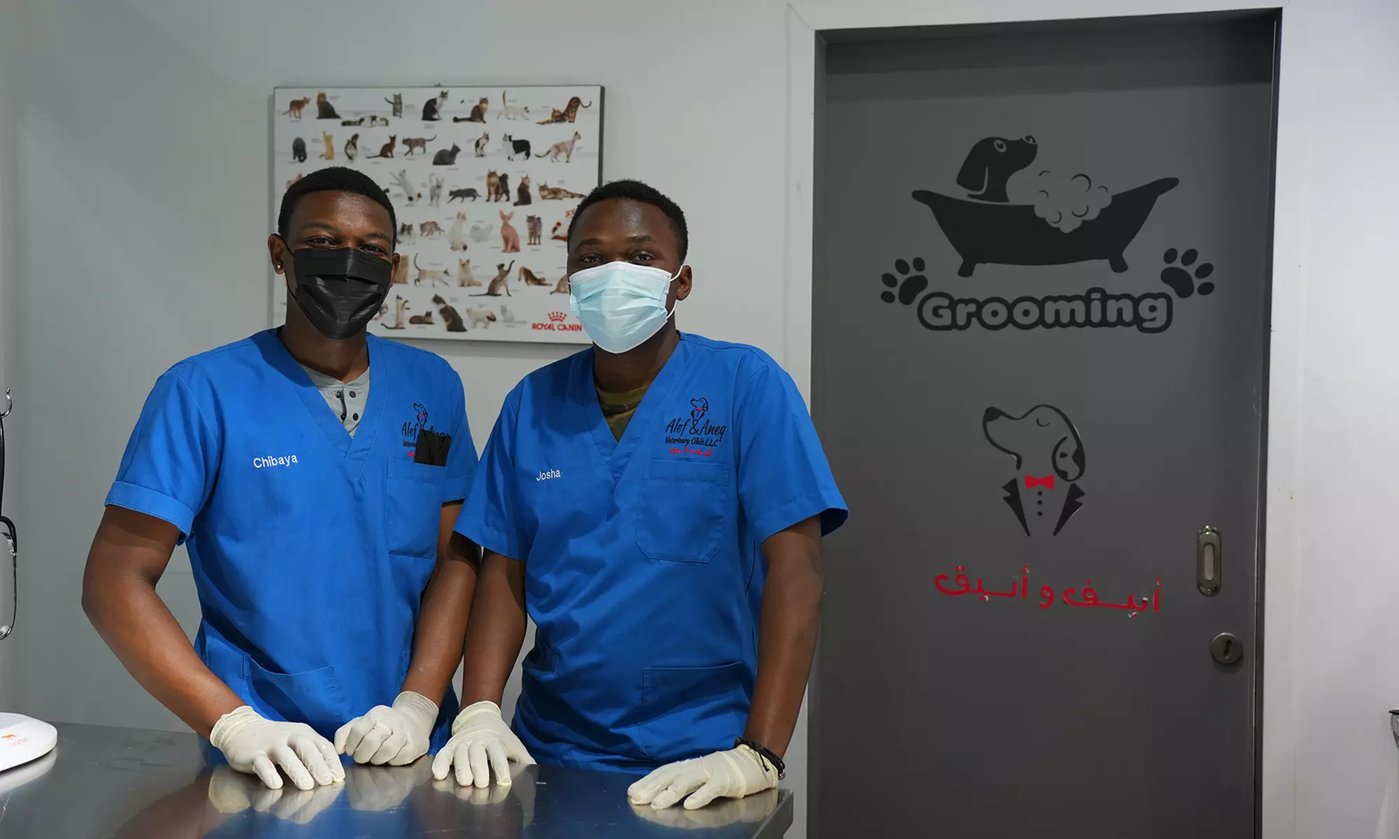 Up to 42% Off on  at Cloud Pet Salon And Boarding