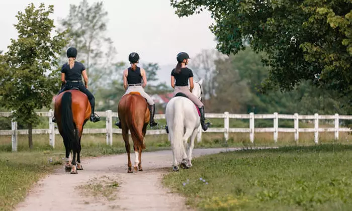 Aventúrate con una ruta a caballo de 90 minutos en Sevilla, para 2 o 4 personas, ahorra hasta un 46% - Primary Image