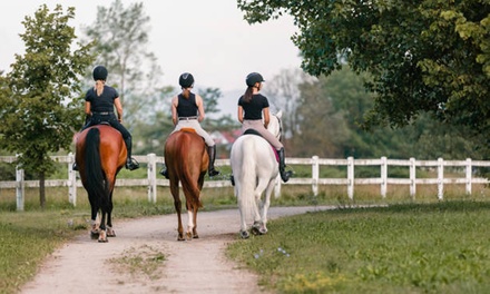 Ruta a caballo de 90 minutos para 2 personas - Centro Hípico Haras de Sevilla