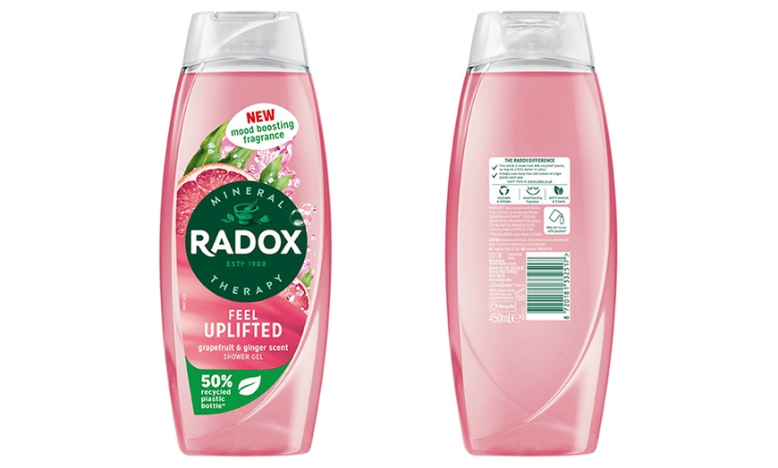 Image 11: Up to 12 Radox Shower Gels 450ml